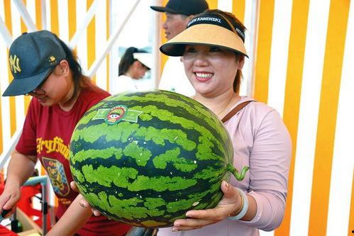 娱乐吃瓜网  第1张